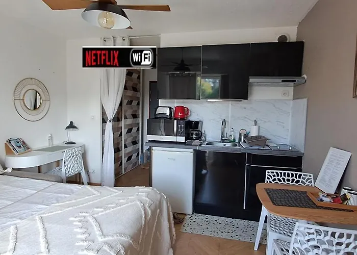 Darmaillacq Studio avec Balcon, parking, Netflix